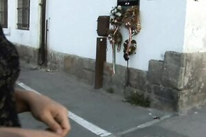 美女mofos